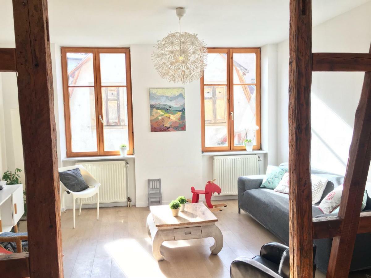 Gite Atelier De Hansi - Colmar Centre Esterno foto